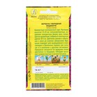 Семена Цветов Вербена "Маджента", 10 шт - Фото 2