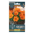 Семена Цветов Гацания «Нью Дэй», F1, чистый оранж, для балкона, веранды, цветника, однолетник, низкорослая5 шт. - Фото 1