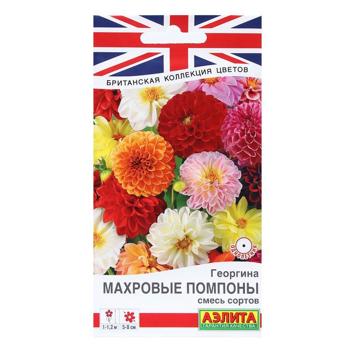 Семена Цветов Георгина «Махровые помпоны», смесь сортов, 0.2 г - Фото 1
