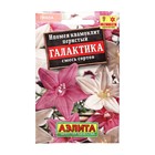 Семена Цветов Ипомея квамоклит перистый «Галактика», смесь сортов, 0.3 г - Фото 1