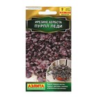 Семена Цветов Ирезине "Пурпл леди", 5 шт - Фото 1