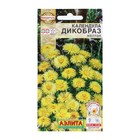 Семена Цветов Календула "Дикобраз", желтая, 0,1 г - фото 319167247