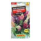 Семена Цветов Люпин "Праздничные свечи", смесь сортов, 15 шт - Фото 1
