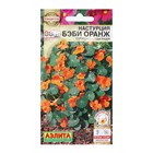 Семена Цветов Настурция "Бэби оранж", суперкомпактная, 4 шт - фото 319167273