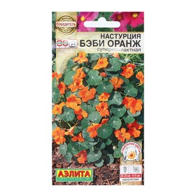 Семена Цветов Настурция "Бэби оранж", суперкомпактная, 4 шт