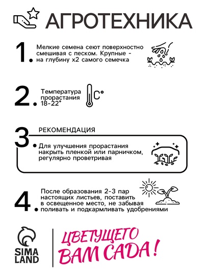 Семена цветов Нивяник "Солнечные лучики", 0,3 г