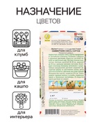 Семена Цветов Пеларгония «Саммертайм», смесь сортов, 3 шт. - Фото 3