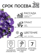 Семена Цветов Петуния «Мамбо» F1, небесно-голубая, пробирка, 7 шт. - Фото 2