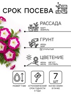 Семена цветов Петуния "Мамбо", F1, розовое утро, многоцветковая, пробирка, 7 шт - Фото 2