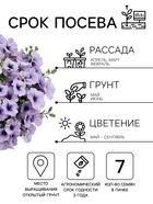 Семена Цветов Петуния «Мамбо» F1, синяя с прожилками, пробирка, 7 шт. - Фото 2