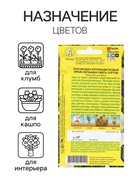 Семена Цветов Платикодон "Яркие вспышки", смесь сортов, 0,03 г 9359813 - фото 13848687