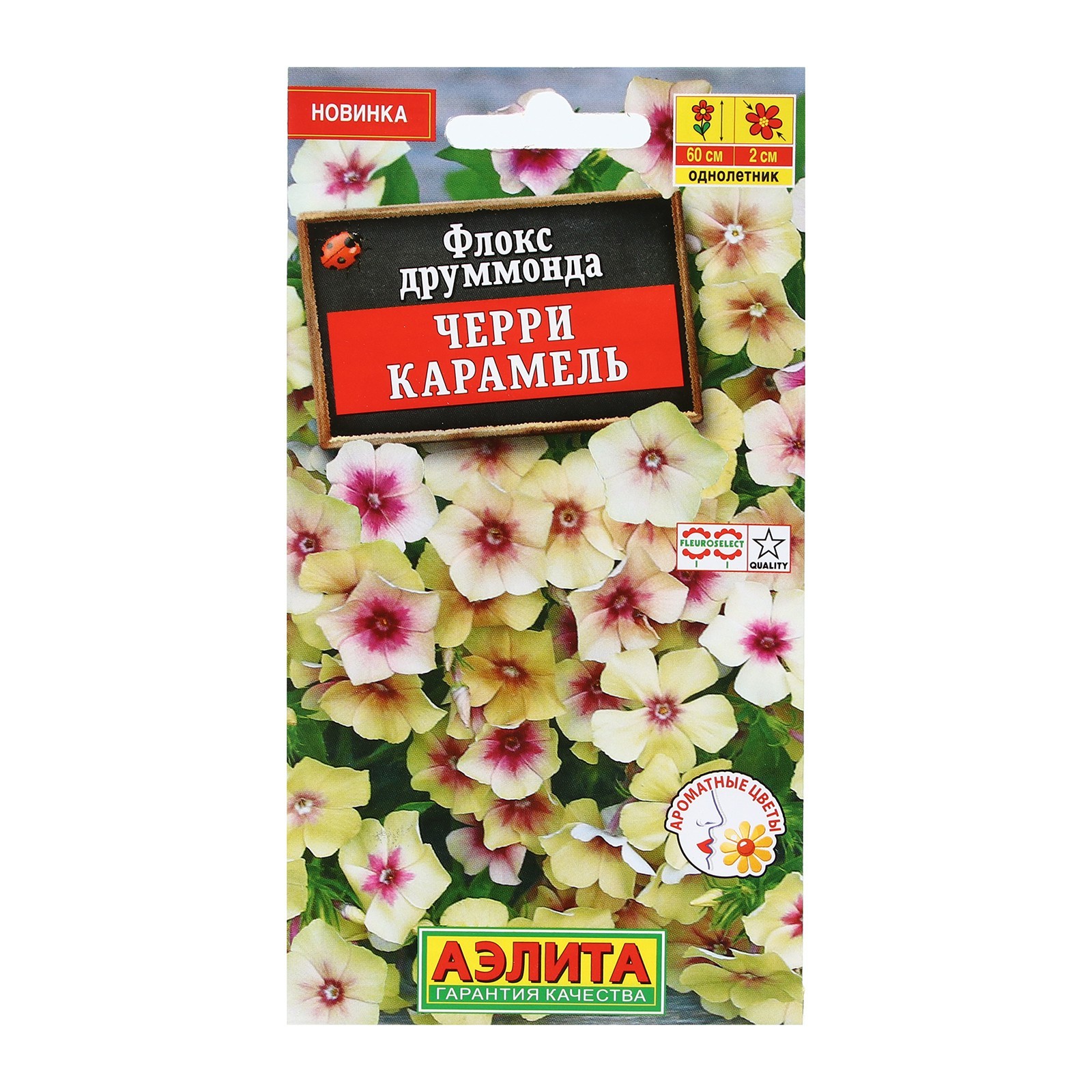 Флоксы Однолетние Купить Семена