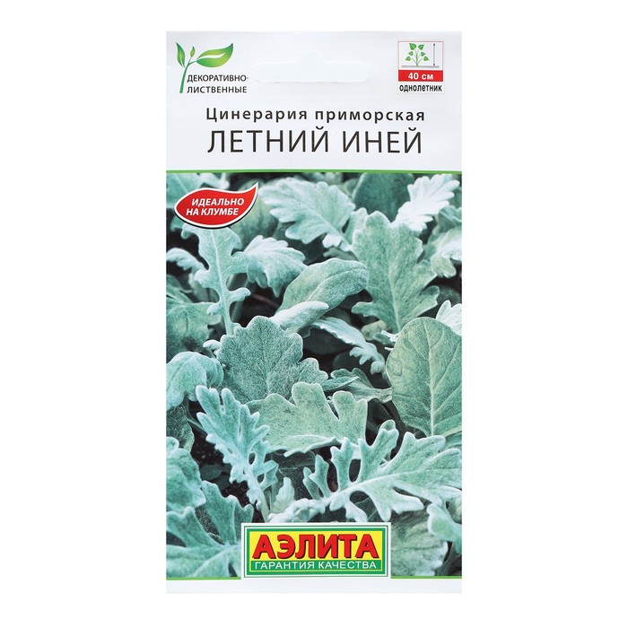 Семена Цветов Цинерария "Летний Иней", 0,05 г - Фото 1