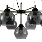 Светильник подвесной Indigo, 11029/9P Black. 9х60Вт, E27, 800х800х430/1200 мм, цвет дымчатый - Фото 3