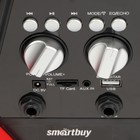 Портативная караоке система Smartbuy EPIC, 18 Вт, FM, AUX, USB, BT, Li-Ion 1800 мАч - фото 51458269 Портативная караоке система Smartbuy EPIC, 18 Вт, FM, AUX, USB, BT, Li-Ion 1800 мАч - фото 51458269