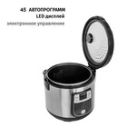 Мультиварка Pioneer MC501, 700 Вт, 6 л, 45 программ, цвет серебристый с черным - фото 51337248