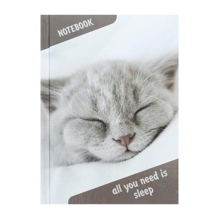 Блокнот А6, 40 листов в клетку «Спящий кот», твёрдая обложка, глянцевая ламинация, блок офсет - Фото 1