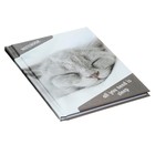 Блокнот А6, 40 листов в клетку «Спящий кот», твёрдая обложка, глянцевая ламинация, блок офсет - Фото 2