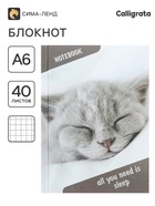 Блокнот А6, 40 листов в клетку «Спящий кот», твёрдая обложка, глянцевая ламинация, блок офсет - Фото 1