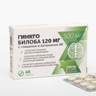 Глицин с витамином B6 Гинкго Билоба для улучшения памяти и концентрации внимания, 40 таблеток по 500 мг - фото 10123472