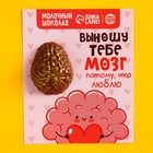 Формовой молочный шоколад «Выношу тебе мозг» открытка, 12 г. - фото 10124476