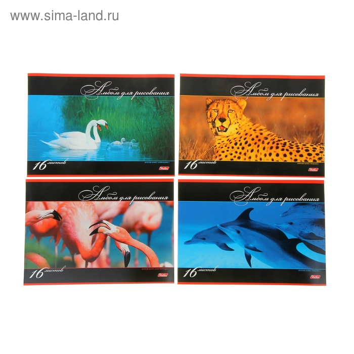 Альбом для рисования А4, 16 листов на скрепке "В мире животных", обложка картон 185г/м2, блок офсет 100 г/м2, 5 видов МИКС - Фото 1