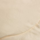 Одеяло Дорсет облегченное 172х205 см, овечья шерсть, полиэфирное волокно 150гр/м - Фото 2