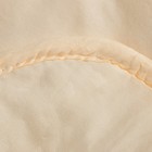 Одеяло Дорсет облегченное 172х205 см, овечья шерсть, полиэфирное волокно 150гр/м - Фото 3