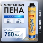Пена монтажная ТУНДРА ПРОФИ, пистолетная, всесезонная, выход 45 л, 750 мл - Фото 1