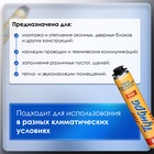 Пена монтажная ТУНДРА ПРОФИ, пистолетная, всесезонная, выход 65 л, 850 мл - Фото 2