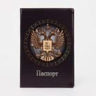 Обложка для паспорта, цвет чёрный - фото 293151435