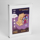 Роспись по дереву «Сова», органайзер для хранения канцелярии - фото 22974831