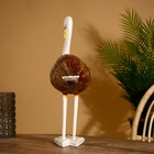 Сувенир "Птичка" албезия, кокос 35х15х50 см - Фото 3