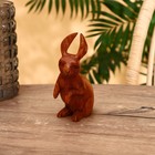 Сувенир "Кролик" джампинис 10х6х15 см - фото 2709976