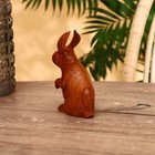 Сувенир "Кролик" джампинис 10х6х15 см - фото 6758990