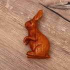 Сувенир "Кролик" джампинис 10х6х15 см - фото 6758991