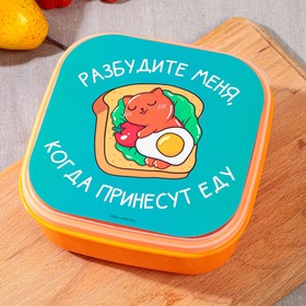 Ланч-бокс «Разбудите меня», 14.5 х 6 см 9216670