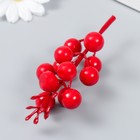 Декор для творчества "Веточка с ягодами 12 ягод"  красные 11,5 см 7915629