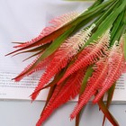 Букет "Папоротник декоративный" 32 см, микс 9229405