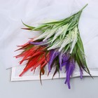 Букет "Папоротник декоративный" 32 см, микс 9229405