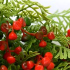 Букет искусственный «Гипсофила галант», 26 см, МИКС (комплект 2 шт) - фото 23226030