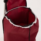 Сумка хозяйственная на тележке, отдел на шнурке, нагрузка до 25 кг, цвет бордовый - Фото 4