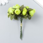 Цветы для декорирования "Роза Бланка" светло-зелёный 1 букет=12 цветов 10 см - фото 319173424