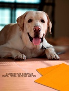 Тряпка для пола Доляна «Промо», микрофибра, ультразвуковая обработка края, 180 г/м², 70×80 см, цвет МИКС - Фото 3