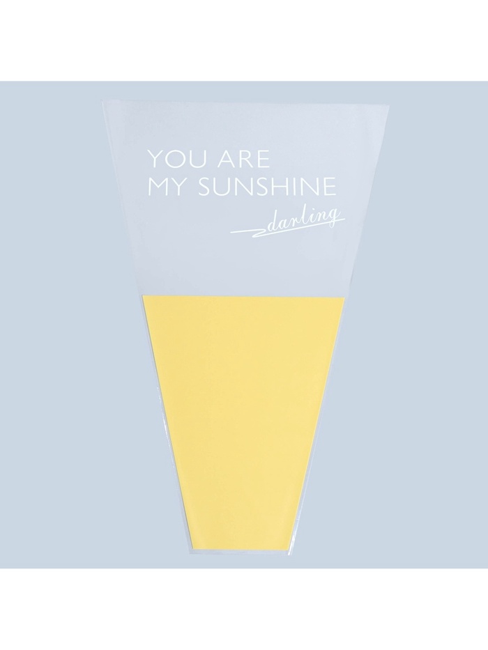 Пакет для цветов «You are my sunshine» жёлтый, 30 х 10 х 45 см 9280109