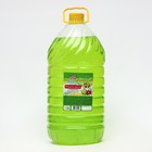 Мыло жидкое TITAN «Киви», 5 л - Фото 1