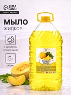 Мыло жидкое TITAN «Спелая дыня», 5 л - Фото 1