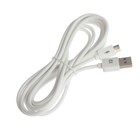 Кабель Exployd EX-K-1390, microUSB - USB, 2.4 А, 2 м, силиконовая оплетка, белый - фото 51458514 Кабель Exployd EX-K-1390, microUSB - USB, 2.4 А, 2 м, силиконовая оплетка, белый - фото 51458514