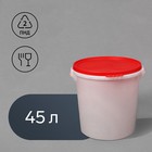 Бак пищевой «Для солений», 45 л, с герметичной крышкой, цвет МИКС - Фото 1