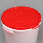 Бак пищевой «Для солений», 45 л, с герметичной крышкой, цвет МИКС - фото 8545464
